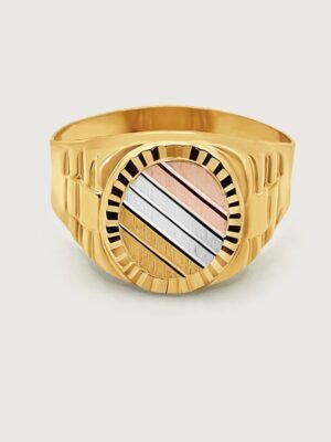 Tricolor Round Face Signet Ring in 18k Gold